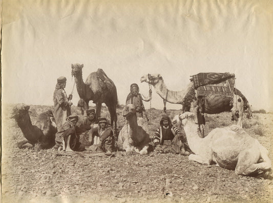 BEDOUINE W/ CAMEL CARAVAN. ALBUMEN IN 11X14 INCH ARCHIVAL MAT.