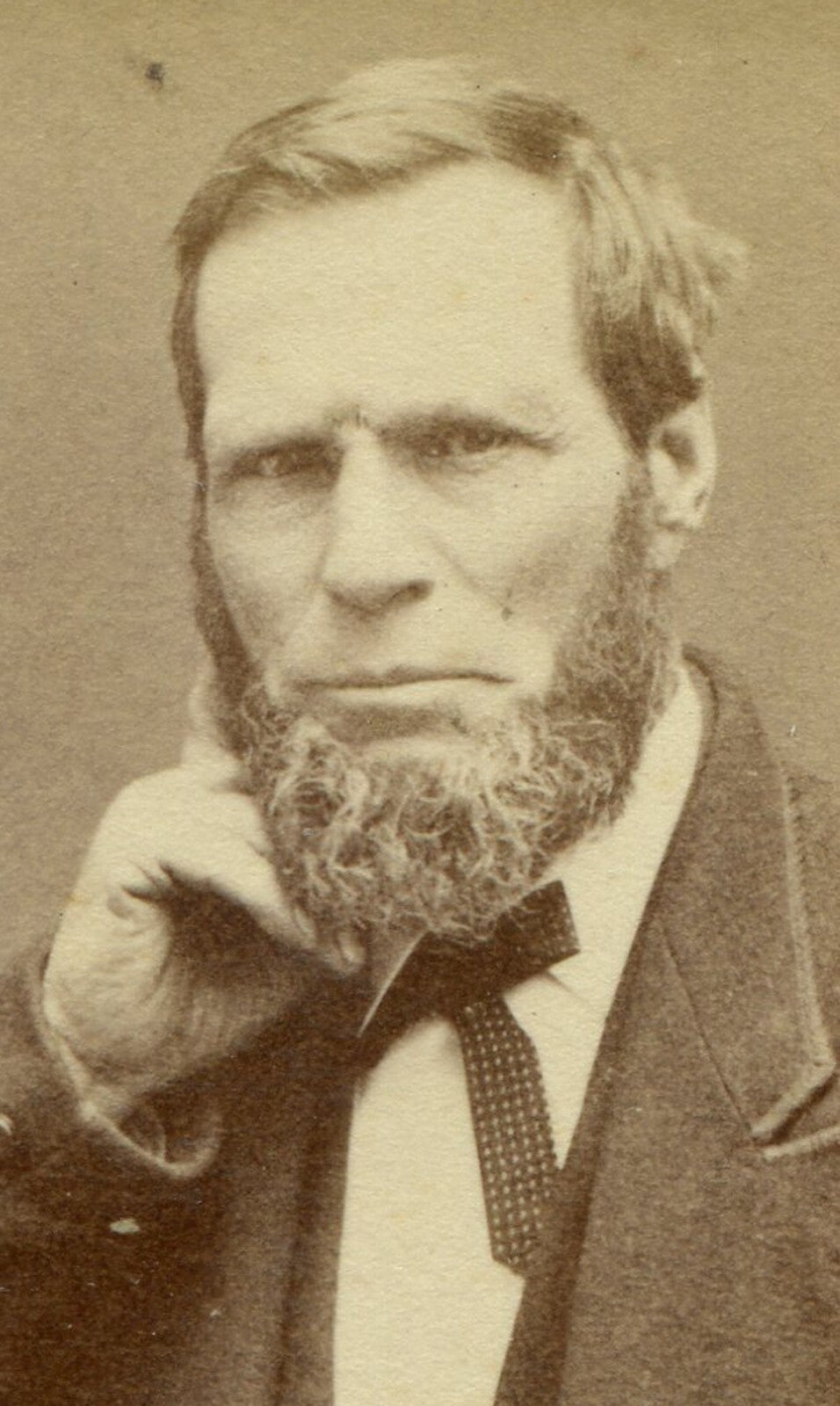 BEARDED, GRIMACING MAN, SEATED, HOLDING BOOK. CDV. ELMIRA, N.Y.