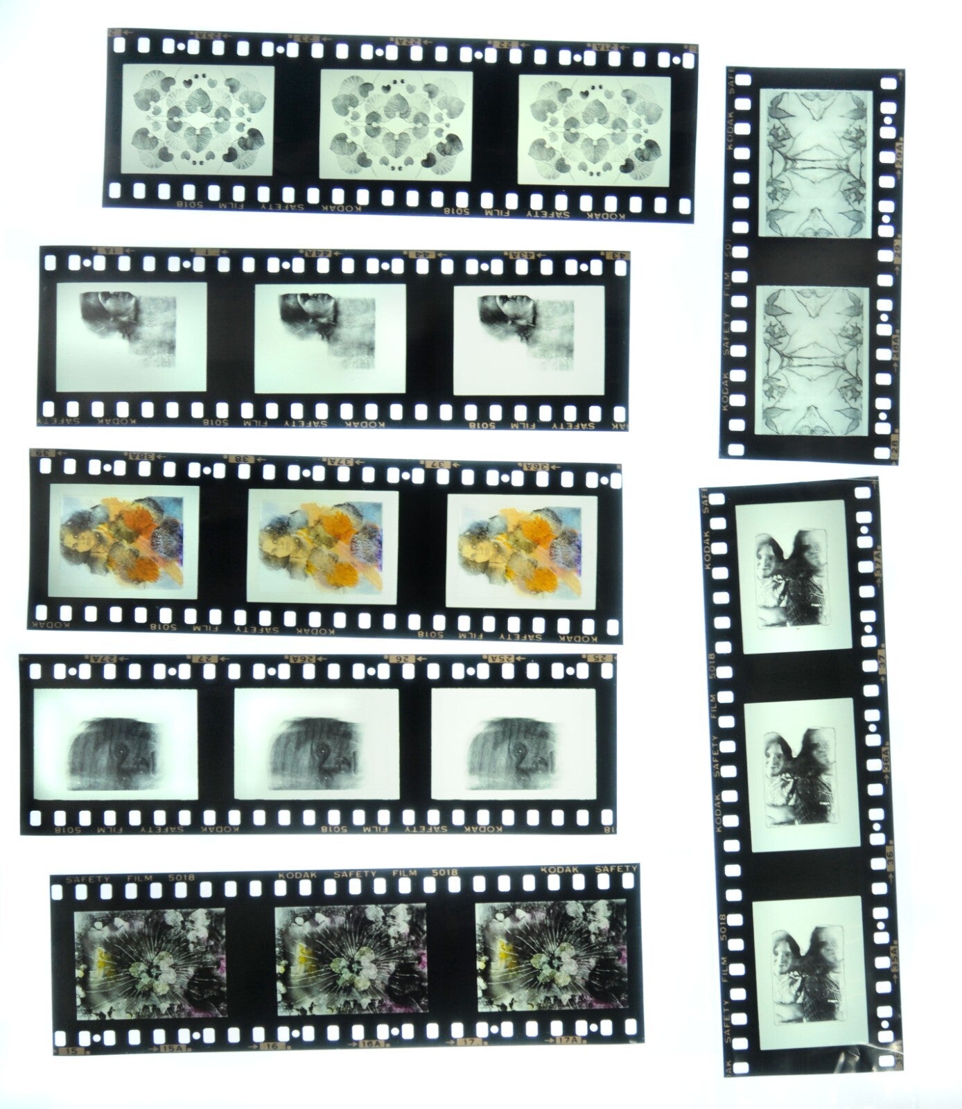 Joan Lyons 35mm Slide Film - Lot of 59