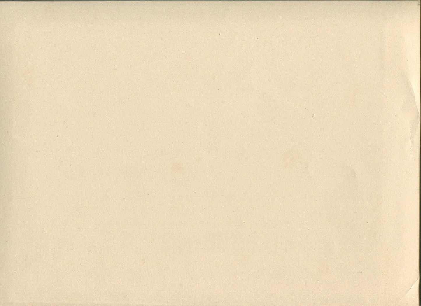 Vintage albumen photograph 8x10 of giant wine cask artwork original authentic not a copy