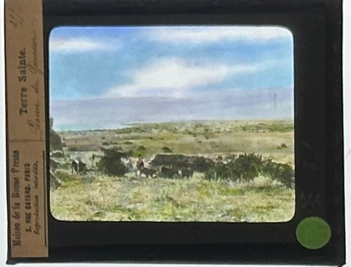 VINTAGE LANTERN SLIDE: Holy Land "Terre Sainte" Landscape  3.25X4IN  HAND TINTED