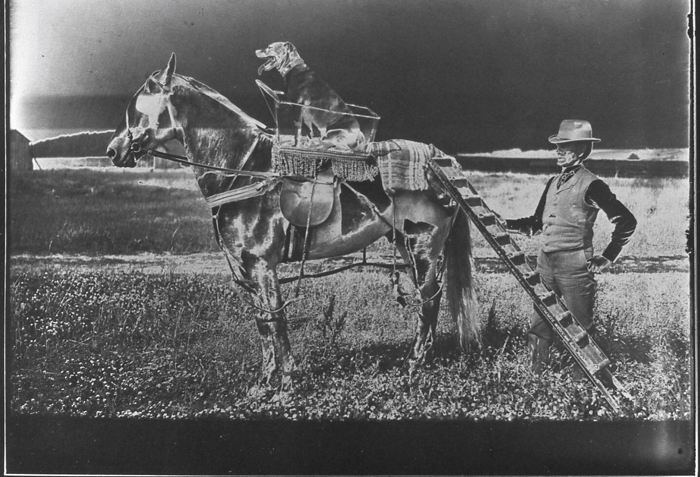 A. Wells Photography - 35mm/135 Slide Film B&W Lot of 24