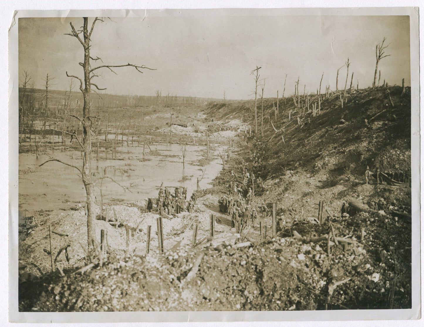 WWI, GENERAL VIEW. BRITISH WESTERN FRONT. (8X10 REPRINT)