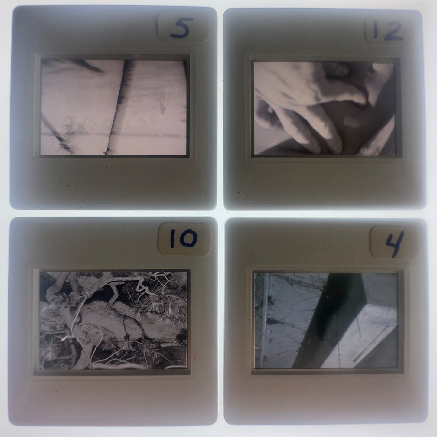 Vintage 35mm Glass Slides (51) Nettles & Hallman - Bea Nettles, Gary Hallman Photo Set