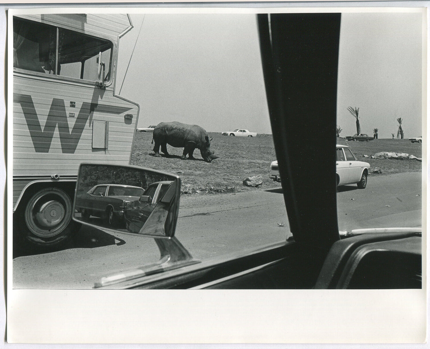 Vintage 1970s Black & White 8x10 Photo - Side View Mirror Fender Bender - Winnebago Rhino