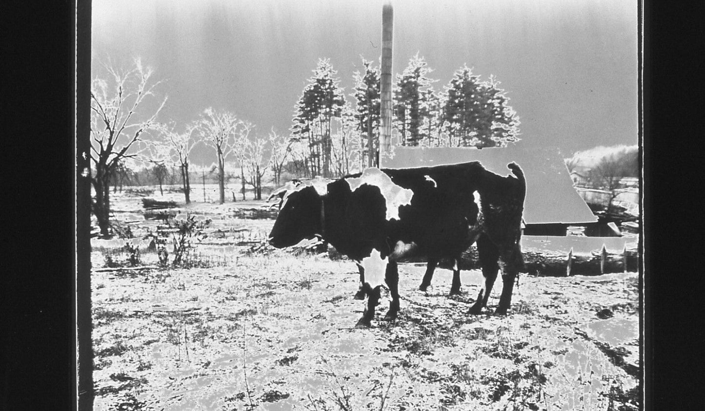 A. Wells Photography - 35mm/135 Slide Film B&W Lot of 24
