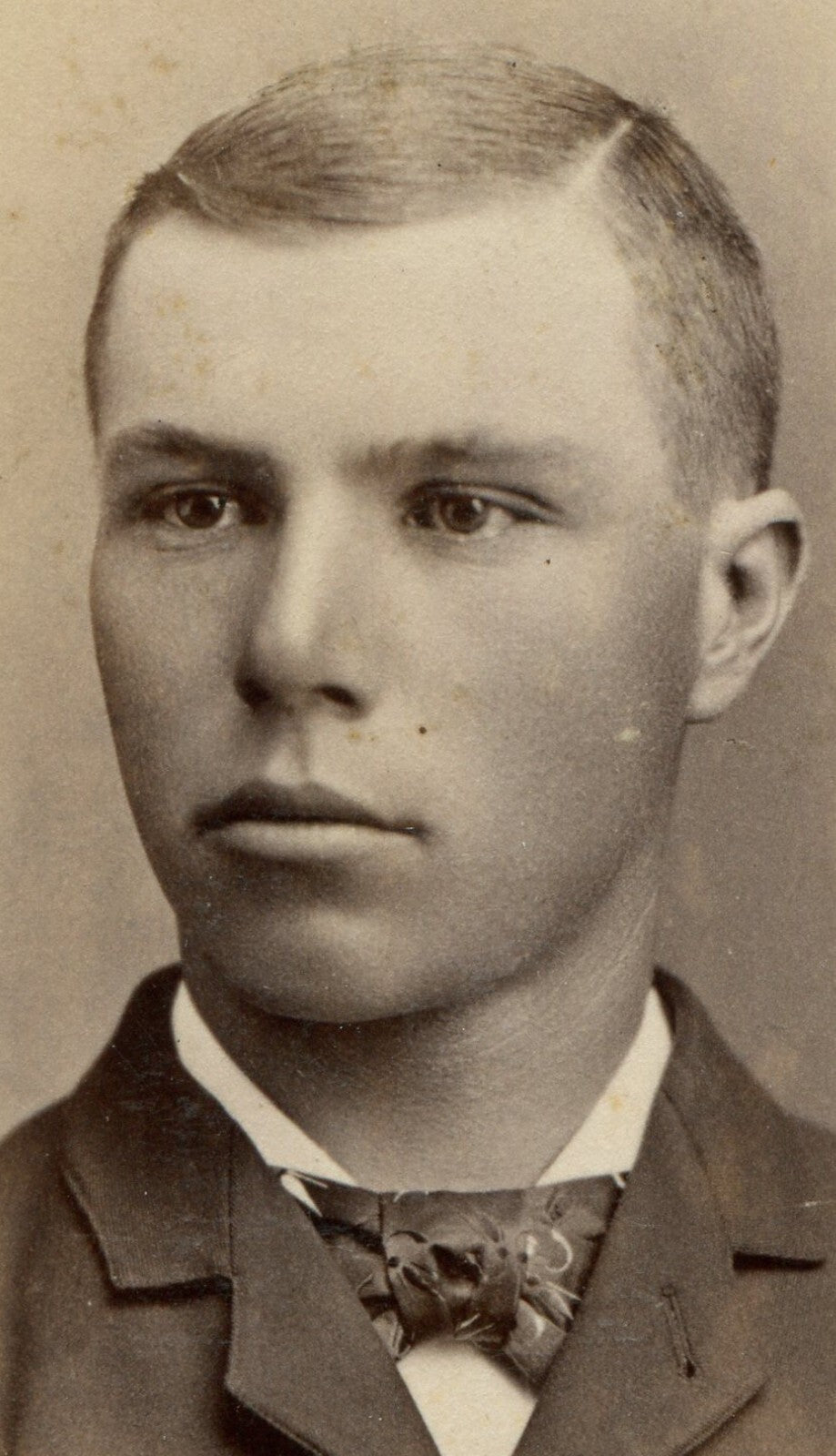 DEWY FACED YOUNG MAN, CUTE BOW TIE. CDV. ELMIRA, N.Y.