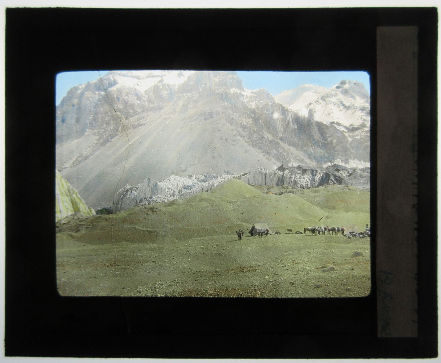CAMP W/HORSES IN SHADOW OF SNOW COVERED MOUNTAINS. TINTED LANTERN SLIDE.