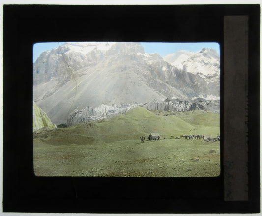 CAMP W/HORSES IN SHADOW OF SNOW COVERED MOUNTAINS. TINTED LANTERN SLIDE.