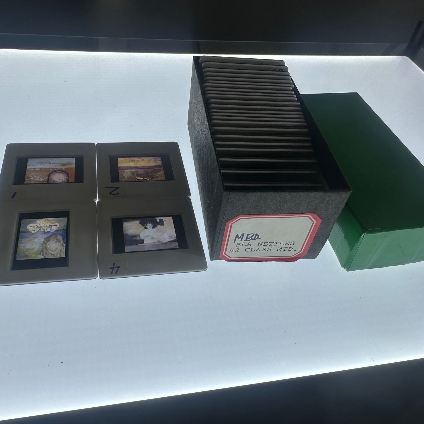 Bea Nettles 35mm Glass Slides - Professional Photographer, 30 Count Rare