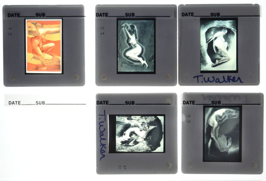 T. Walker Fine Art Photography 35mm Slide Lot of 45