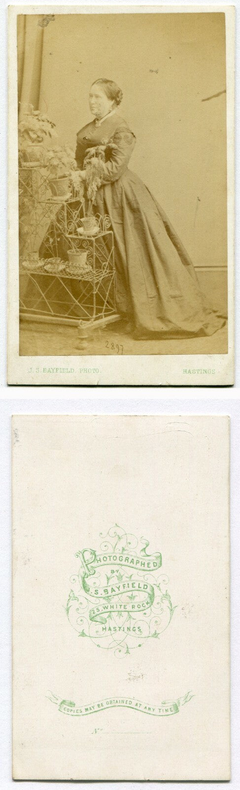 WOMAN POSED AT ORNATE PLANT STAND. CDV. HASTINGS, ENGLAND.