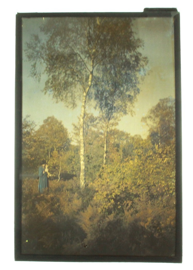 4X6 AUTOCHROME OF WOMAN POSING W/ PUPPY DOG IN THE FOREST