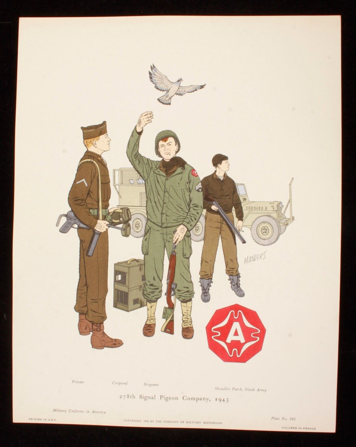 278th Signal Pigeon Company 1945 Illustration 11x14