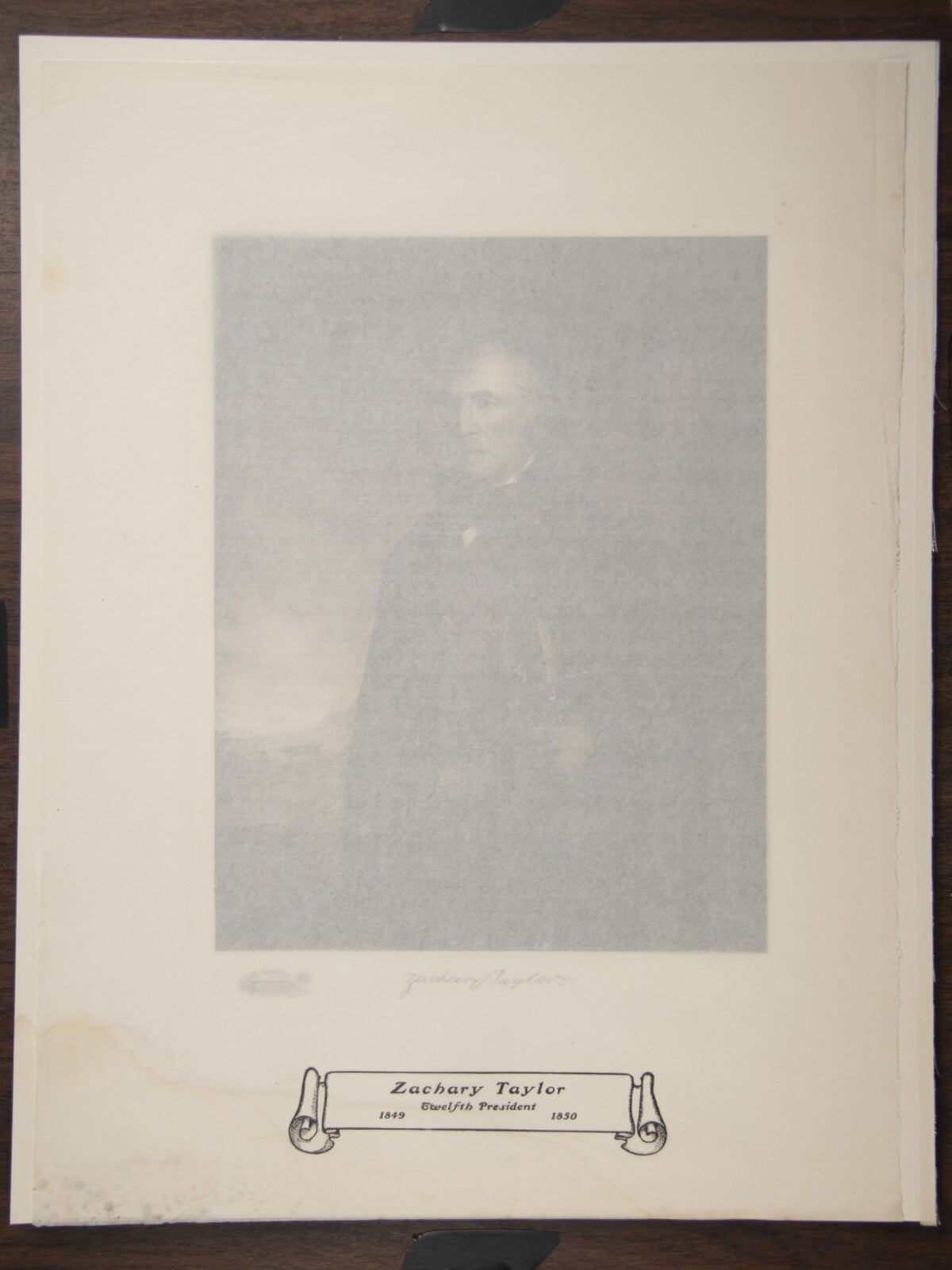 White House Gallery Vintage Photogravure Zachary Taylor Presidential Image