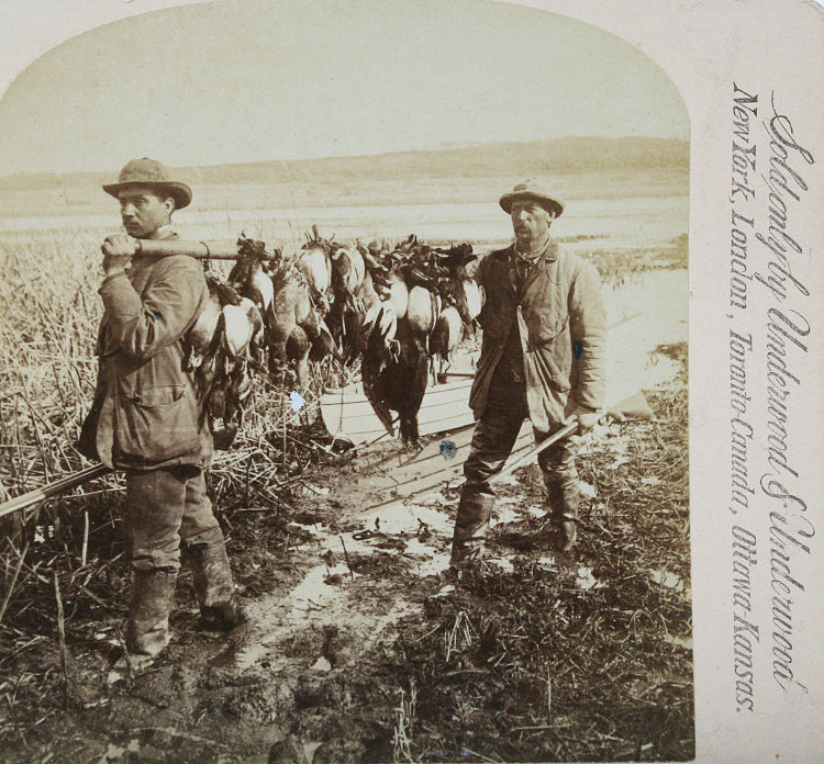 Hunter With Gun and Kills, Stereoview