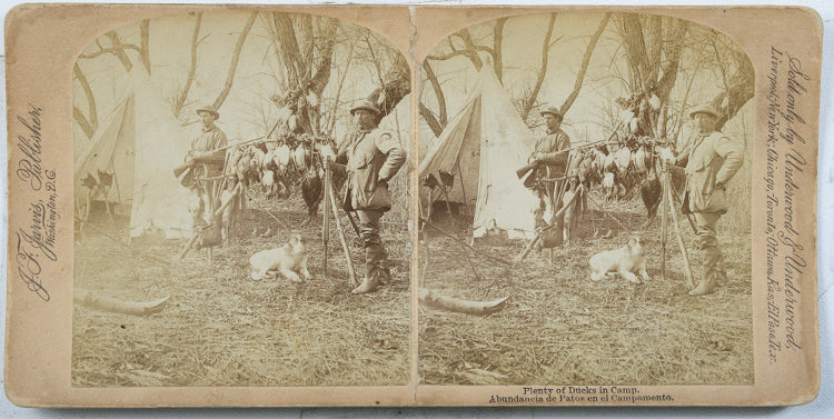 Duck Hunting With Guns 1893 Stereoview