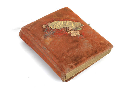 Vintage Photo Album 1860 CDV & Cabinet Cards