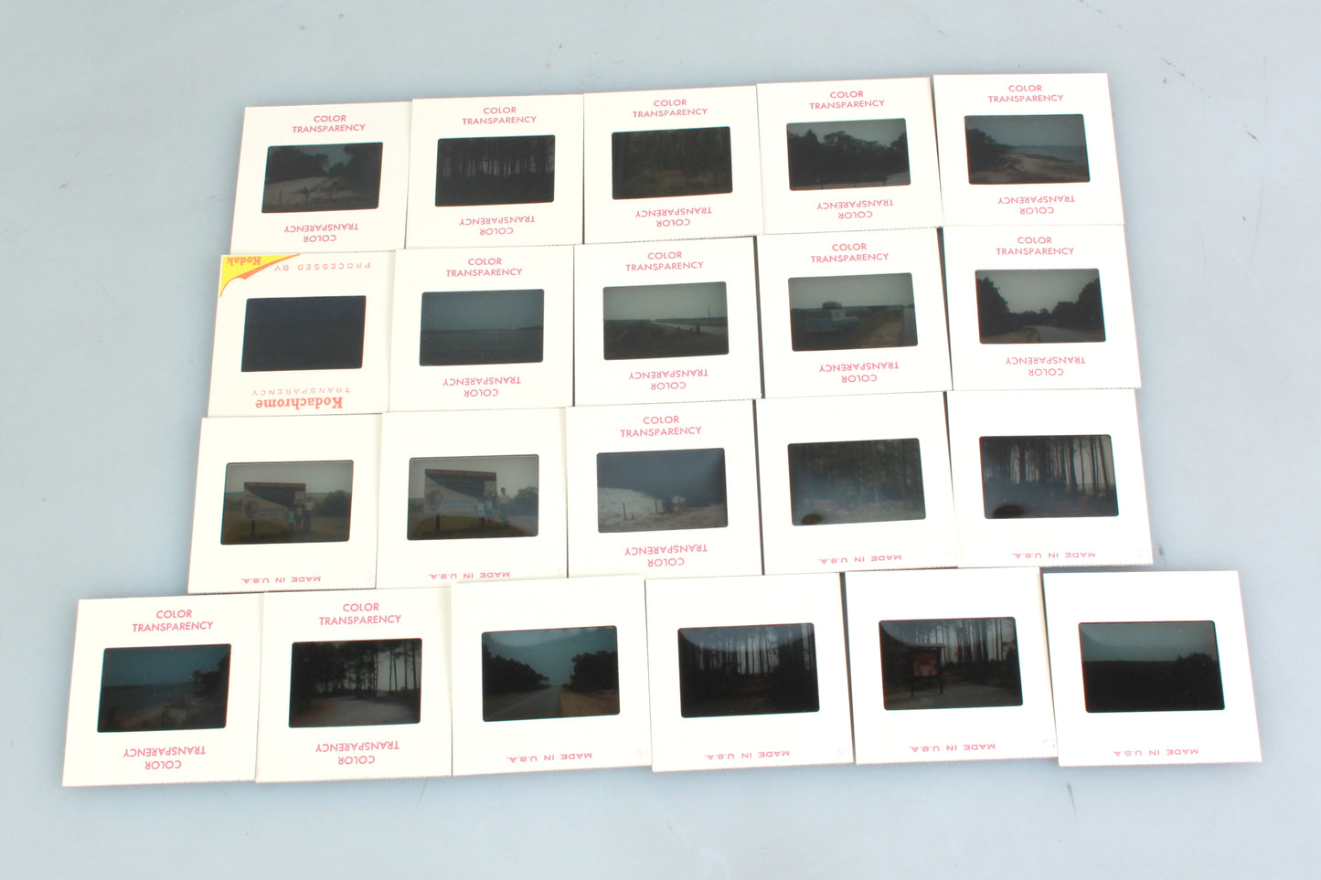Slides Lot of 21 in Box Chincoteague National Wildlife Refuge