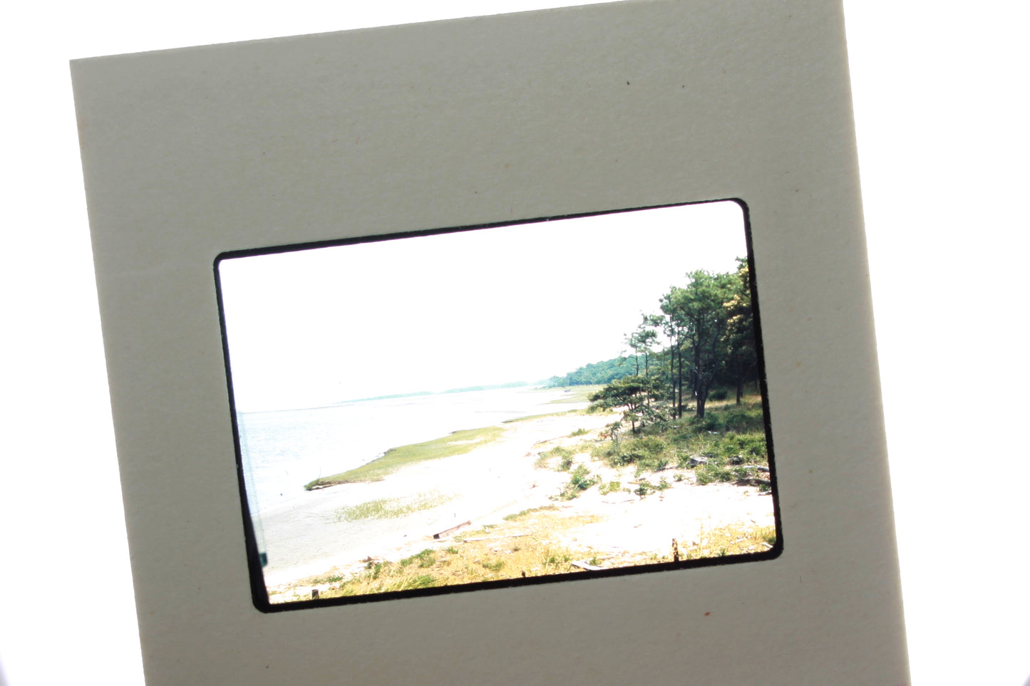 Slides Lot of 21 in Box Chincoteague National Wildlife Refuge