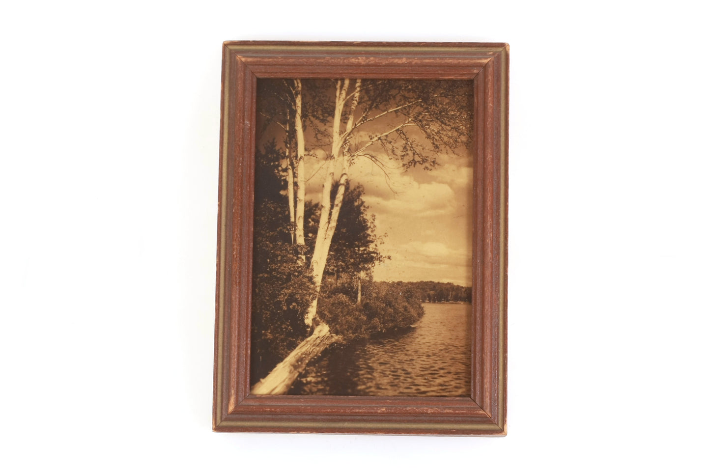 Orotone Two Birches Framed