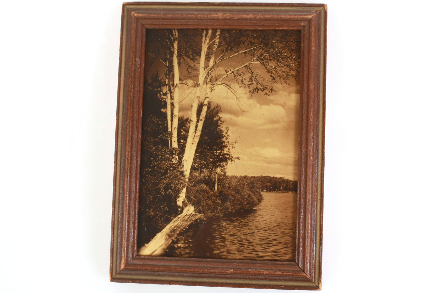 Orotone Two Birches Framed