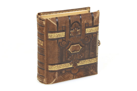 Antique Photo Album CDV 1860s