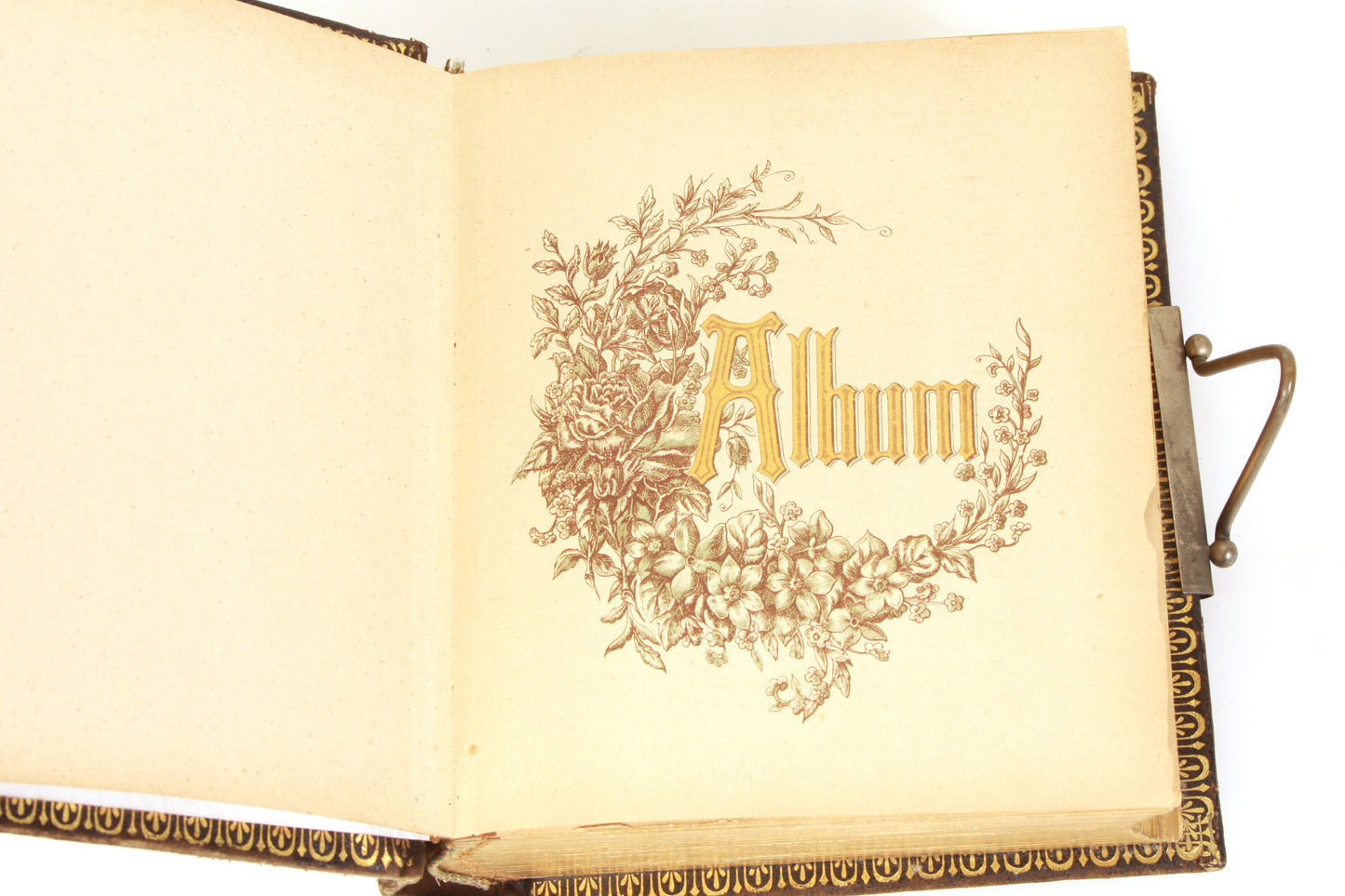 Antique Photo Album CDV 1860s