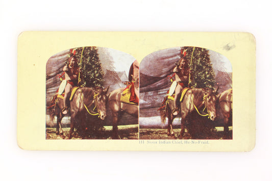 Stereoview Card Sioux Indian Chief