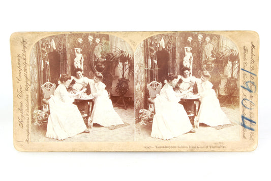Stereoview Card - Eavesdropper Scene