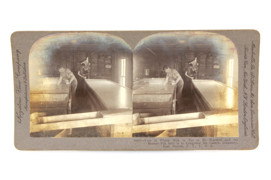 Stereoview Card - N.Y. Creamery