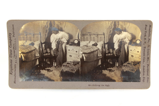 Stereoview Card - Vintage Scene Funny