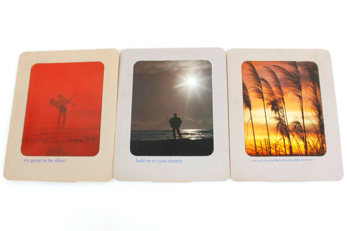 Vintage Photo Frame 8x10 w/ A Thought + Back Stands - Lot of 14