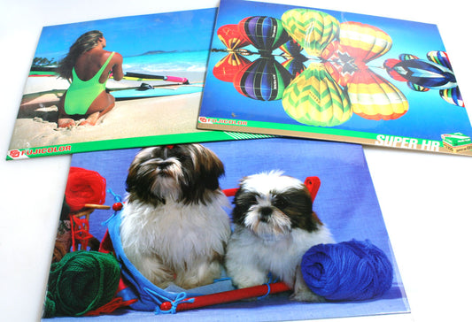 Fujifilm Posters for Store Display, Set of 3//Fuji Advertisement
