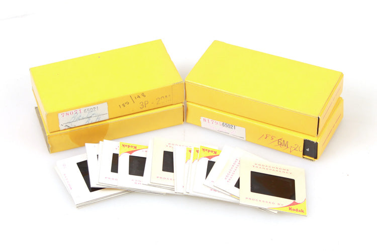 Family Found Image Slides, Large Lot