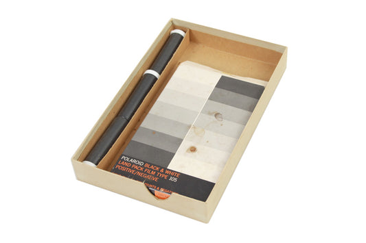 Polaroid Black & White Land Pack Film Type 105 Positive/Negative