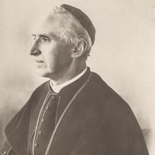 Antique Post Card Photo of S.E. Cardinal Mercier, Archbishop of Mechelen, Belgium