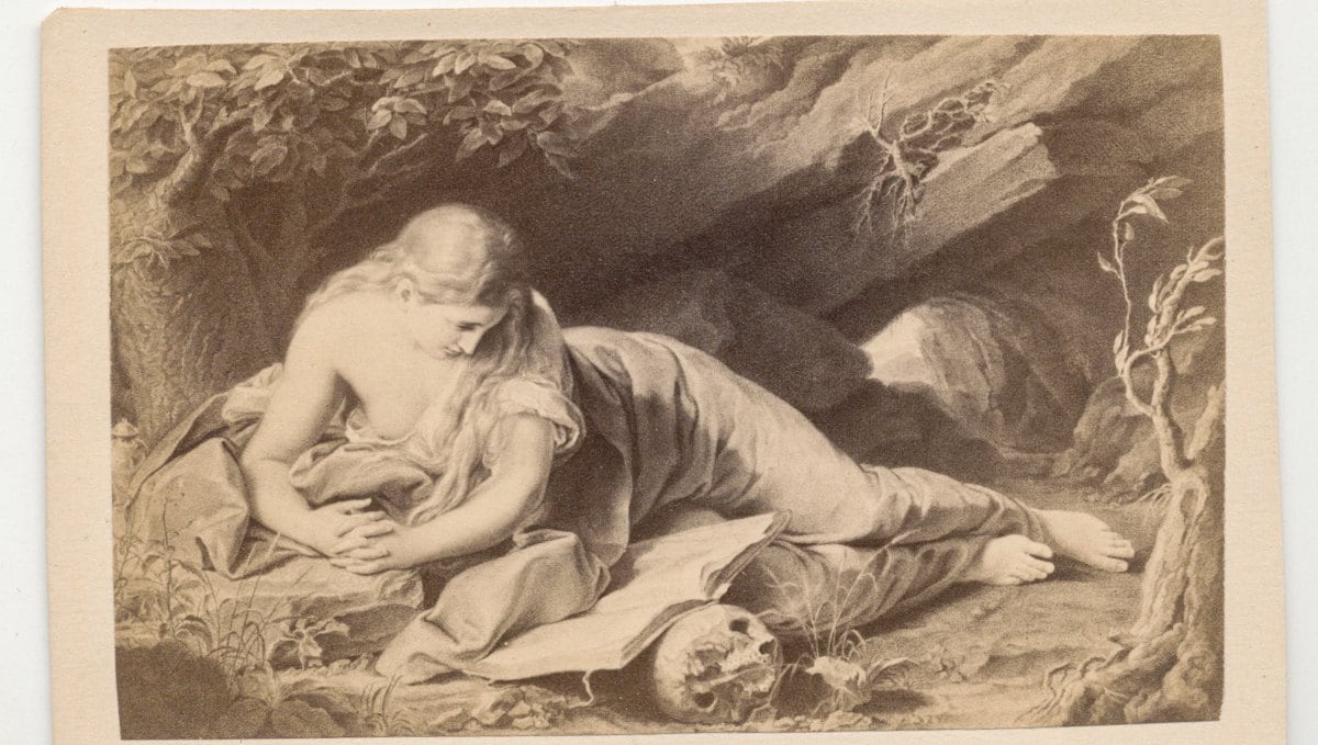 Vintage 1800s CDV Illustration//Woman Reading Book in Nature//Majestic Woman