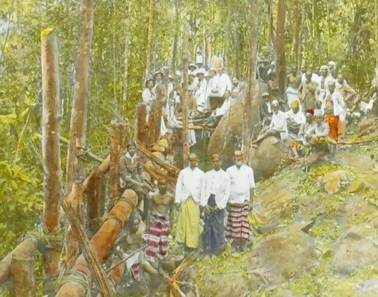 Kraal Town, Ceylon Hand Tinted Antique Photo On Glass//DIY Art