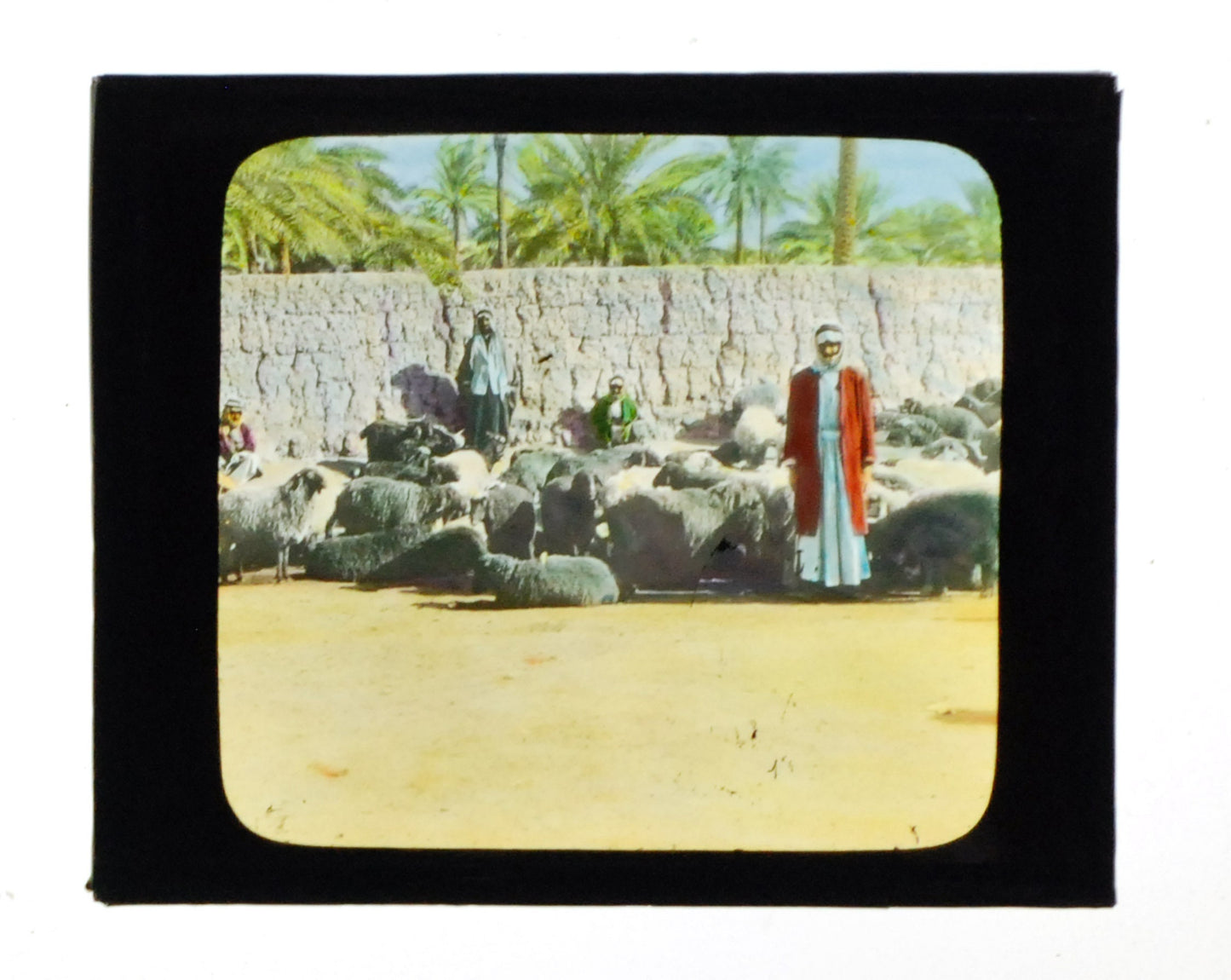 Iraq Sheep Market Hand Tinted Antique Photo On Glass//DIY Art