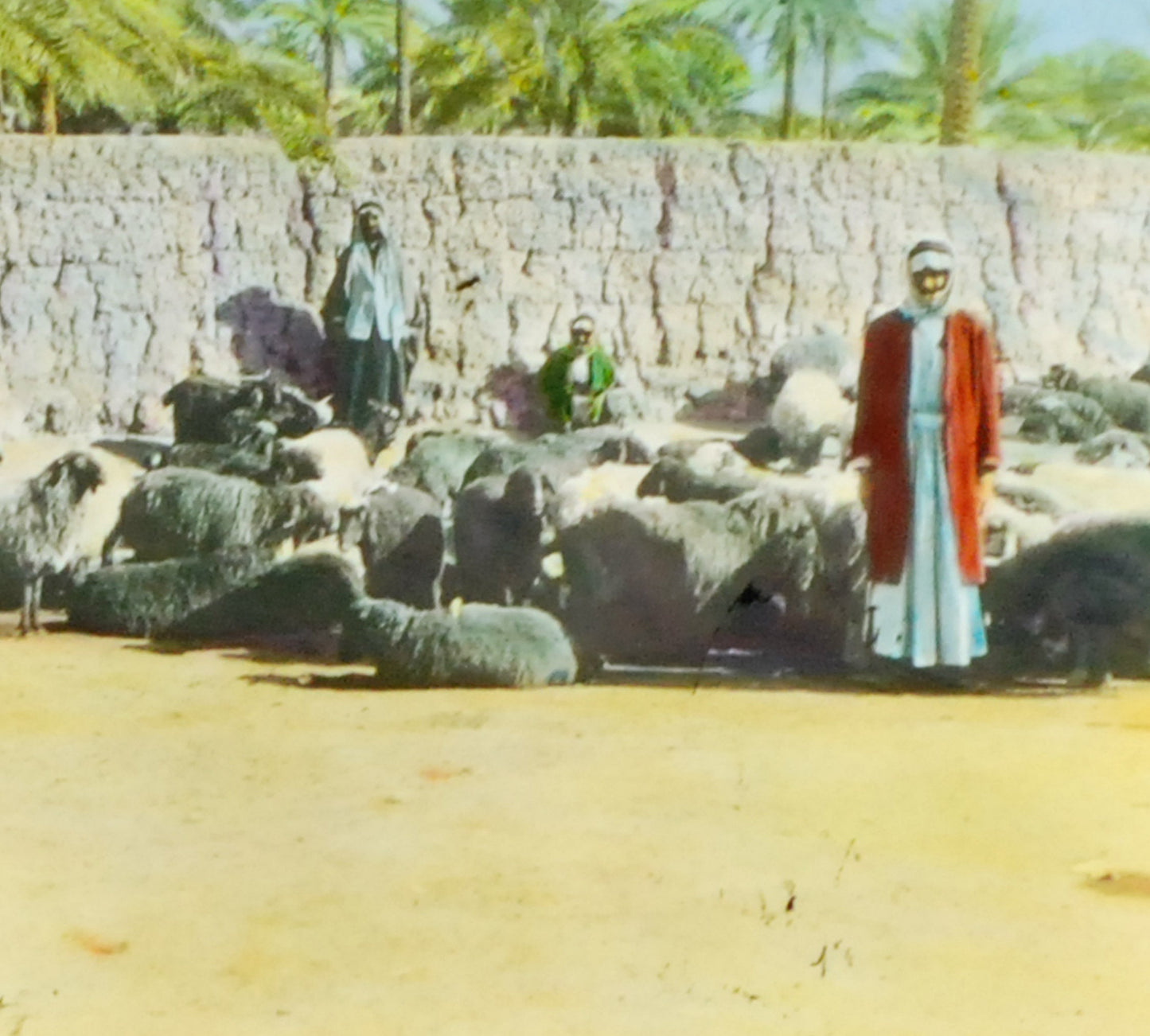 Iraq Sheep Market Hand Tinted Antique Photo On Glass//DIY Art