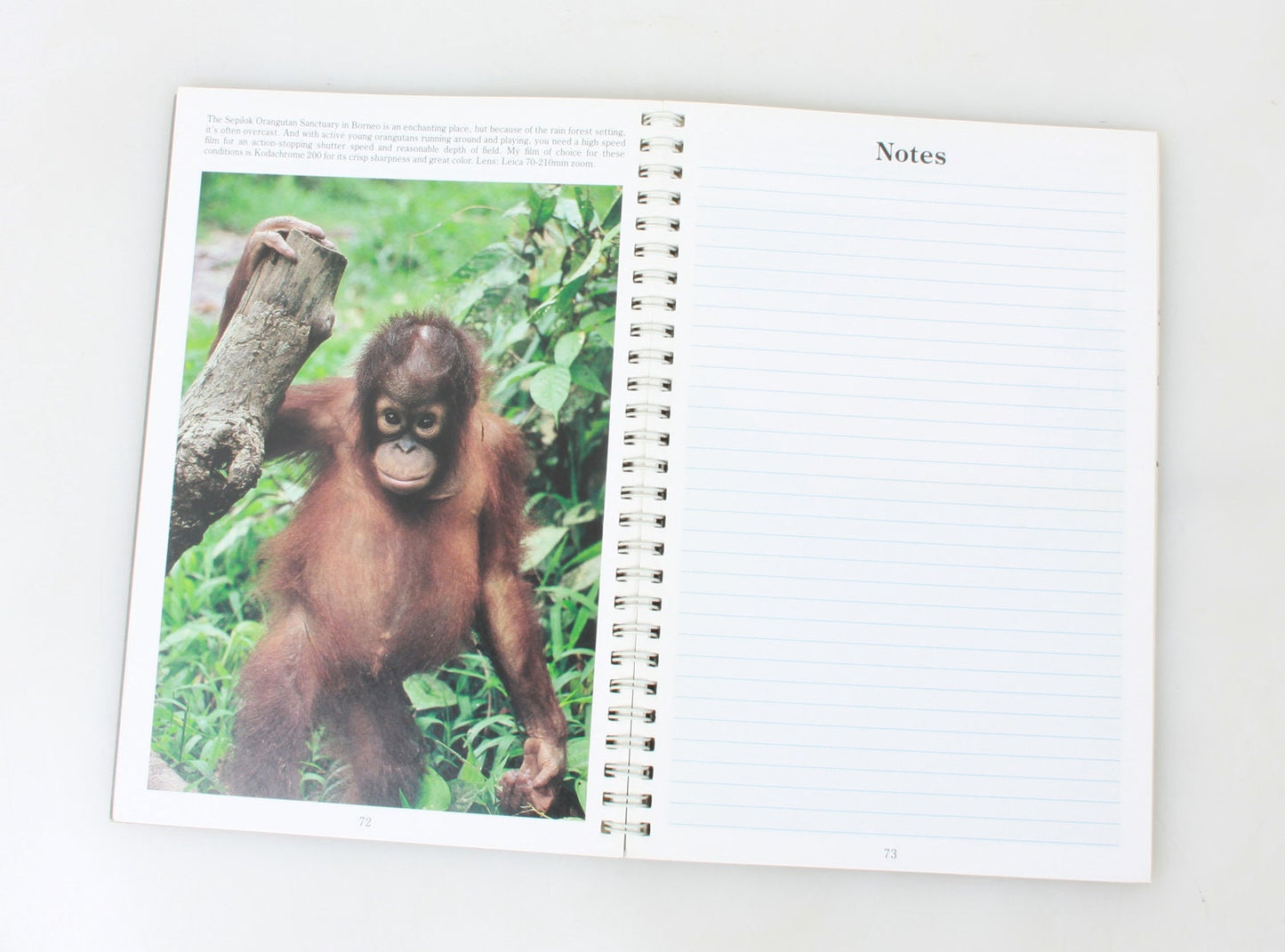 Photographers Feild Notebook by Boyd Nortons 1990