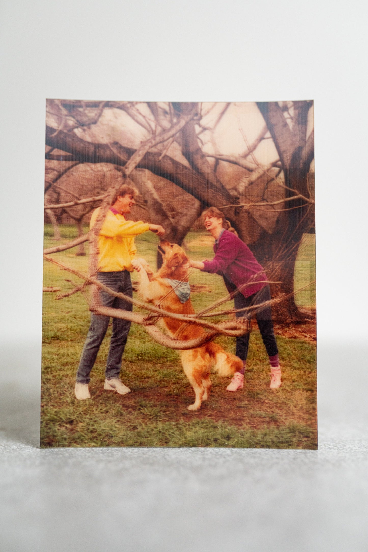3D Printed Photo of Two People Playing with Dog - Lenticular Print