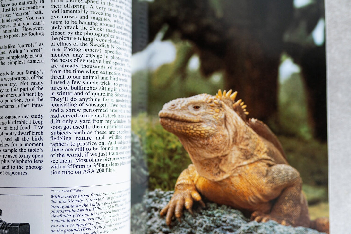 Hasselblad Wildlife Photography by Sven Gillsater Instructions Lessons Booklet