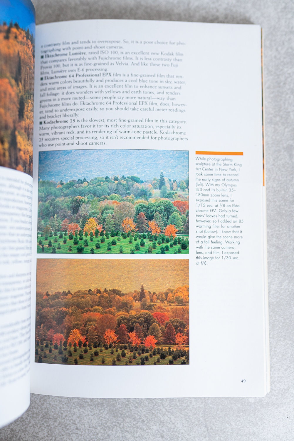 The Field Guide to Photographing Trees by Allen Rokach Anne Millman