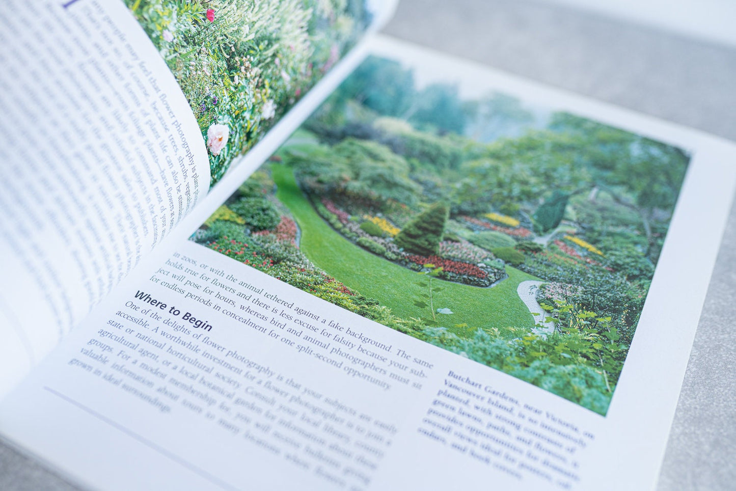 Flower and Garden Photography by Derek Fell