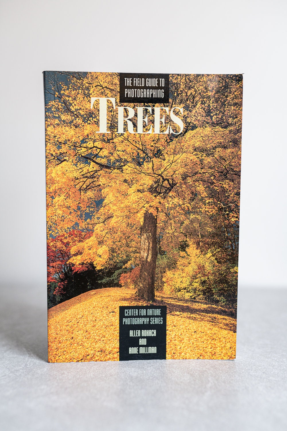 The Field Guide to Photographing Trees by Allen Rokach Anne Millman