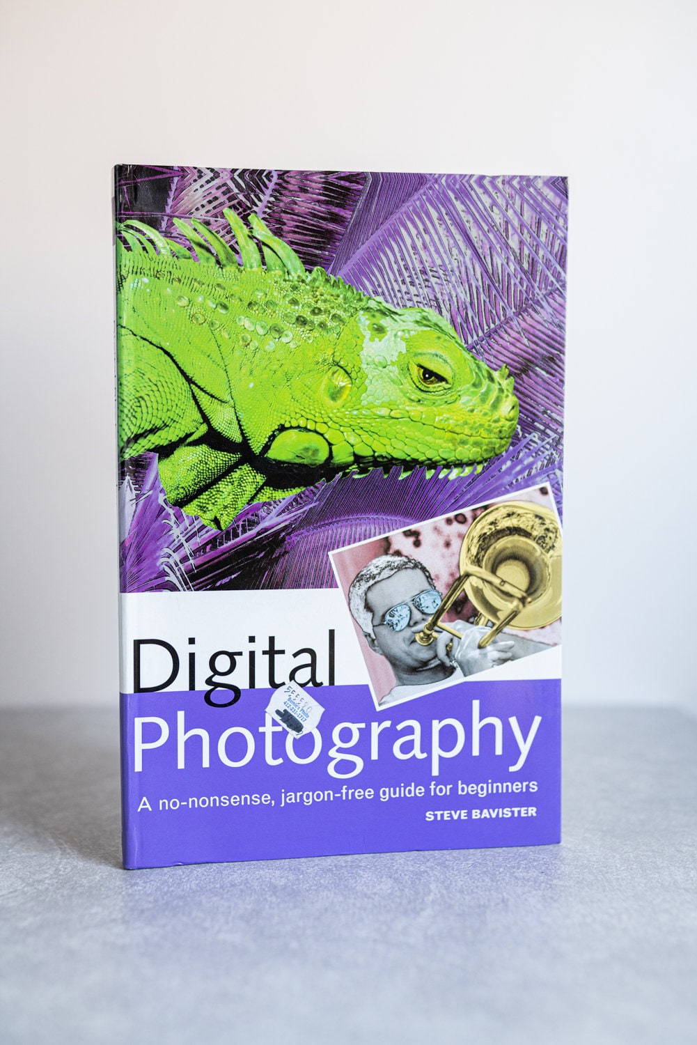 Digital Photography: A Beginners Guide by Bavister, Steve