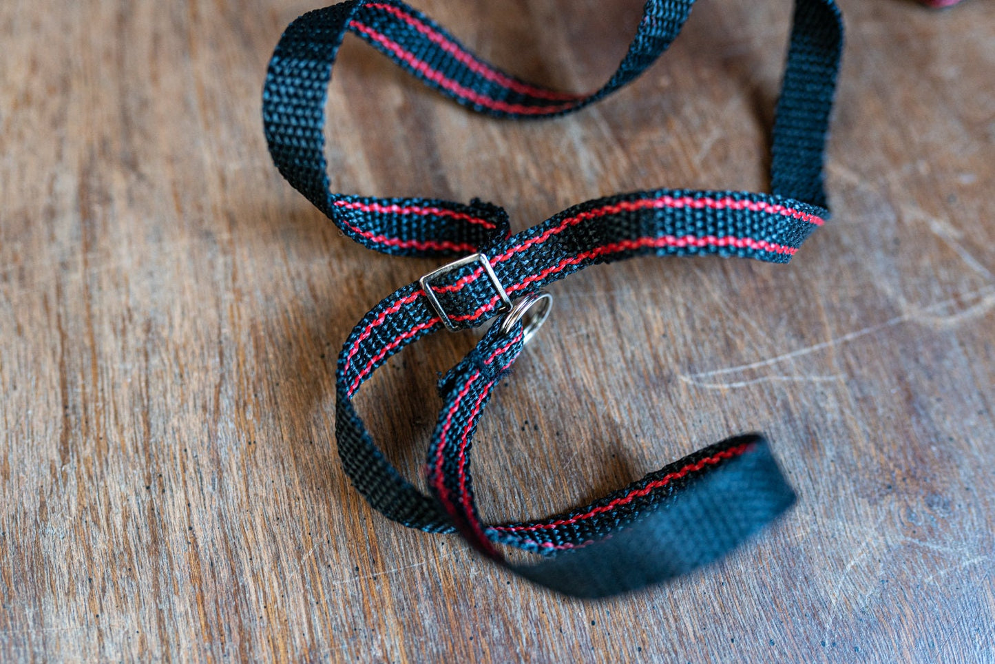 Vintage Point and Shoot Red and Black Camera Strap - Circa 1970s