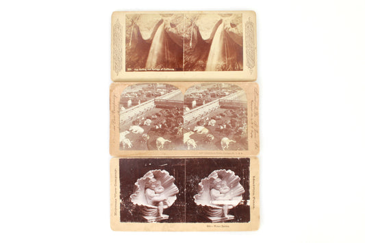 Stereoview Cards (3) California Hot Springs, Chicago Stock Yards, Water Babies